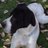 Lamarsiposa's profile image
