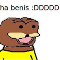benis (@benisavax) 's Twitter Profile Photo benis (@benisavax) 's Twitter Profile Photo