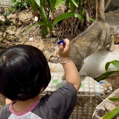 dongqian3's profile picture. おや、っと感じたこと、心に残ったことを主につぶやきます。 #DOUZI ELICIA