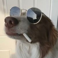 Liminality 🔞 (@floofyboi_life) 's Twitter Profile Photo Liminality 🔞 (@floofyboi_life) 's Twitter Profile Photo