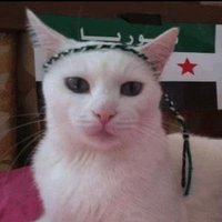 فتوش (@sayed3amood) 's Twitter Profile
