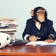 I like monkey business and also big big steak o like eating steak and cooking steak yum yum yum