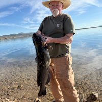 Chris chrestensen (@trapper50reno) 's Twitter Profile