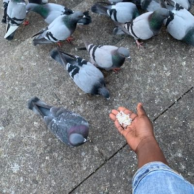zeynab__sow's profile picture. Une passionnée de cuisine 🧑‍🍳