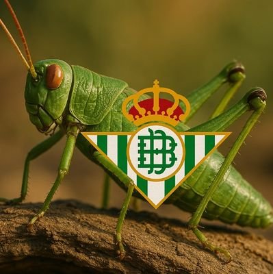ESPAÑA PARA LOS ESPAÑOLES!
OS ACONSEJO PROTEGER A VUESTROS HIJOS DE LAS APP QUE SE SUPONEN QUE SON DE MENORES Y ADULTOS,PUES HAY MUCHO PEDOFILOS Y DEGENERADOS!!