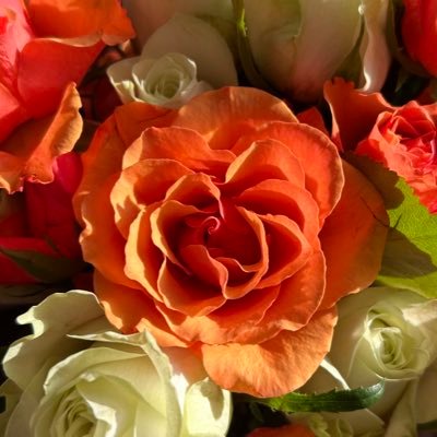 galilzzz's profile picture. 