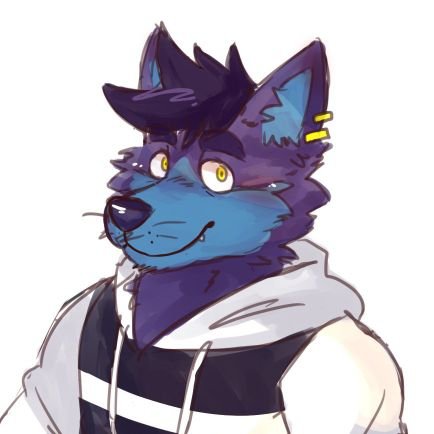 @The_Tigerboy931