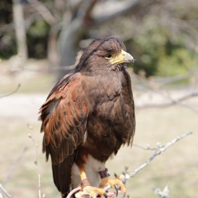 佐賀県の伊万里市で、興味がある事や感動した事を発信したいと思います |映像関係で写真やビデオ撮影、編集 機械や家電、パソコンの修理 |漫画やアニメ特に松本零士先生のファン|音楽は、幅広く聴いております|山下達郎|大瀧詠一| 冨田勲先生|愛天愛人愛国|