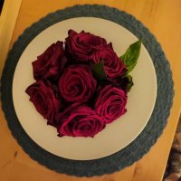 Irene (@sardinia73) 's Twitter Profile