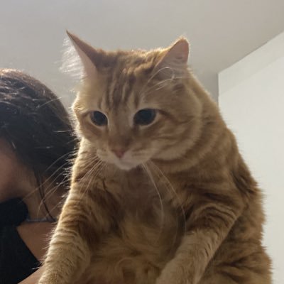 chupa rola e dá o cu filho de deus vivo