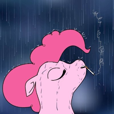 Hacaz Profile