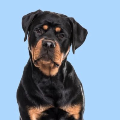 DCMM777's profile picture. Best ball x Crypto