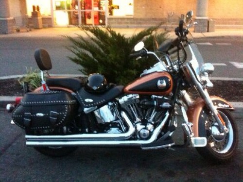 BillAntonucci's profile picture. 