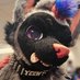 GoFIsh (@blackjack0034) Twitter profile photo GoFIsh (@blackjack0034) Twitter profile photo
