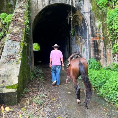 MateAlvarezS's profile picture. 