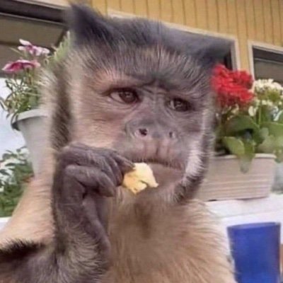 lcs_ttw's profile picture. distante.