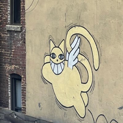 paldir's profile picture. strictement inutile donc totalement indispensable !