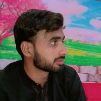 Hanan Ali (@hananali087) 's Twitter Profile Photo