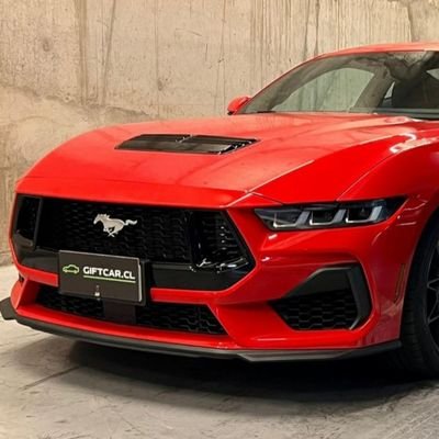 Simon__benitez's profile picture. Soy un chico  sincero