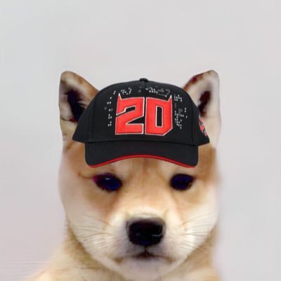 F1rancisGP's profile picture. J'aime bien les trucs qui font vroum-vroum très vite sur un circuit #F1 #MotoGP #FQ20🇨🇵👑 #CL16🇮🇩