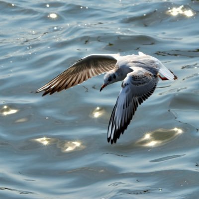 Fisti_Kill's profile picture. ‘Je hebt gelijk’ betekent hier ‘Loop naar de hel!’ Overeenkomsten met bestaande personen berusten op louter toeval.