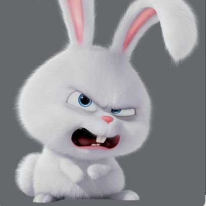 RickDas47696940's profile picture. 