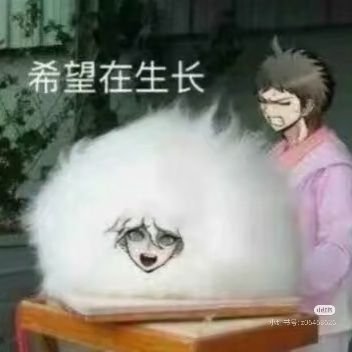 iushisukkh86684's profile picture.