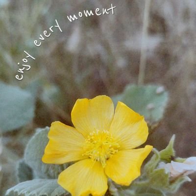 akshaypatil285's profile picture. #म #salesforce_developer #cricket #music
#taylorswift