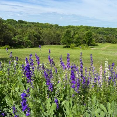 _TejasLady's profile picture. Interested in Gardening, Homesteading, Sauna, Healthy Living, & Bee Keeping | 🩷my Husband, baby girl, family & friends, and the USA 🇺🇸 | #MAHA