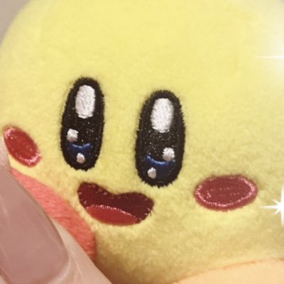 帝国寄りのプリンセス🩷ポイズンピンクのおもちアイドルを応援してます