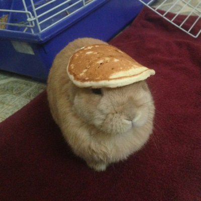 coskicrypto's profile picture. pattern recognition🧩
AGTG
https://t.co/2PoQ0GfuTr
https://t.co/hYSRS7YUp5