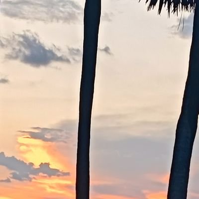 hkharishkumarr's profile picture. பிறப்பொக்கும் எல்லா உயிர்களுக்கும்