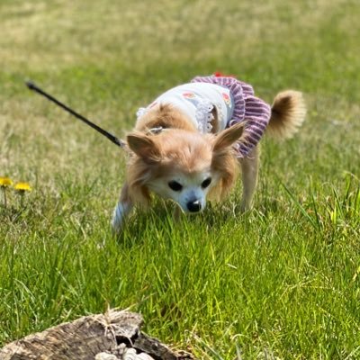 kokohoreken99's profile picture. 含み○の赤ちゃん👶 99年生まれ。投資歴5年デイトレメインです👾