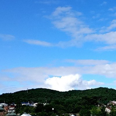 2025年9月21日(日)に開催される盛岡地区動物愛護フェスを昨年以上に盛り上げたい!
場所は昨年と同様、盛岡市こがねパーク高松(旧盛岡競馬場跡地)!広々青々な会場です!
犬猫譲渡会、子ども獣医さん、ポニー乗馬体験、他催しものもパワーアップ!イベント、出店情報は随時更新します!#盛岡地区動物愛護フェス #岩手県獣医師会