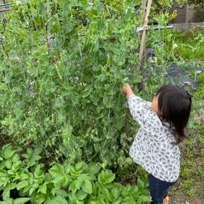 いろはに農園です♪コメントを返信しただけでロ ッ クになってしまったので、アカウントを切り替えて運営しようと思います。いろはに農園の本