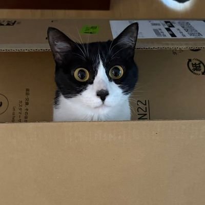 gurenz3's profile picture. 閲覧専用