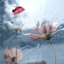 Danny Townsend(✸,✸) - @oguxg91848754 - Twitter