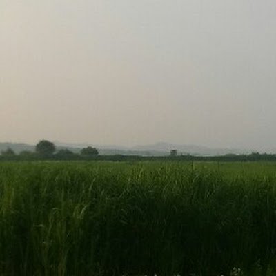 seongwook0708's profile picture. 