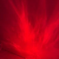 👁🗨蛛眼羔羊SIDSN (@guidemyhands) 's Twitter Profile