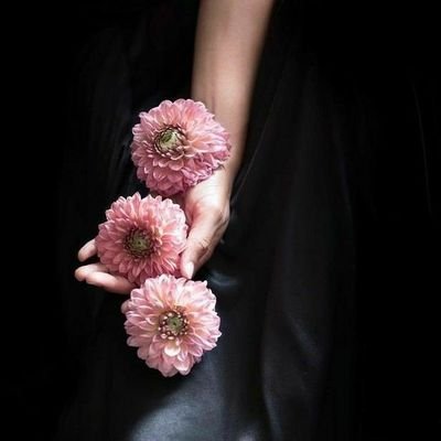 safa31669's profile picture. يَا صَاحِبَ اللُّطْفِ الْخَفِيِّ، بِكَ أَسْتَعِينُ وَأَسْتَجِيرُ وَأَكْتَفِي.🤍