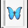 Shannon79053723's profile picture. Service Is Universal 
PROUD Member of Sussex Squad 
Abolish The Monarchy 
RIP Virginia Giuffre 🦋