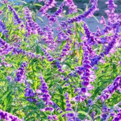 優秀なEA紹介しています、皆さんに最高のEAを体験して頂きたくて代理店始めました😊興味がある方はこちらからオープンチャットへどうぞhttps://t.co/L09r5f9epT