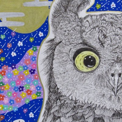 🦉HySy（ハイシー）飛鳥🦚さんのプロフィール画像
