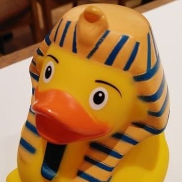 ぬっこさんのプロフィール画像