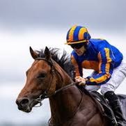 Electric Equine (@electric_equine) 's Twitter Profile Photo Electric Equine (@electric_equine) 's Twitter Profile Photo