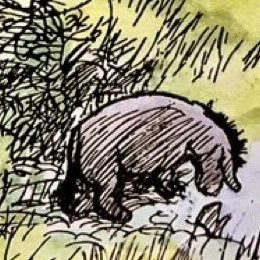 Alex6264's profile picture. Nobody listens, but tweet away anyway.