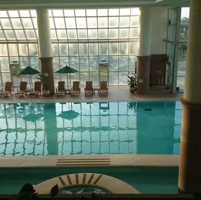 IQGykbfTwpmCXsA's profile picture. 