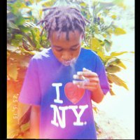 BLUNTROLLER🐾 (@blunts4greene) 's Twitter Profile