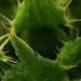 QQu_ru's profile picture. ..