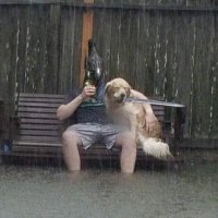 ۟ (@xwarpig) 's Twitter Profile Photo